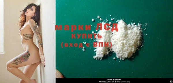 ПСИЛОЦИБИНОВЫЕ ГРИБЫ Каменногорск