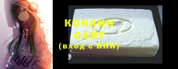 спиды Каменка