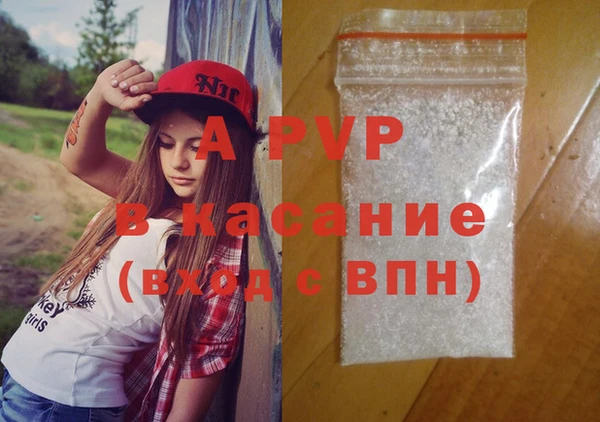 спиды Каменка