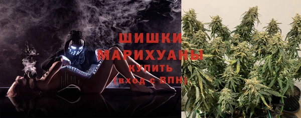 спиды Каменка