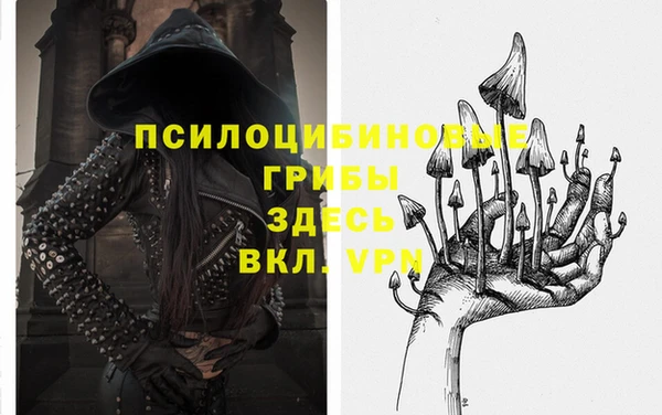 спиды Каменка